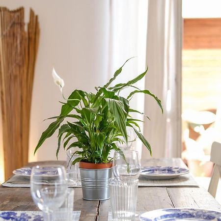 Spacious Apartment With Big Terrace At Colosseum Roma Esterno foto